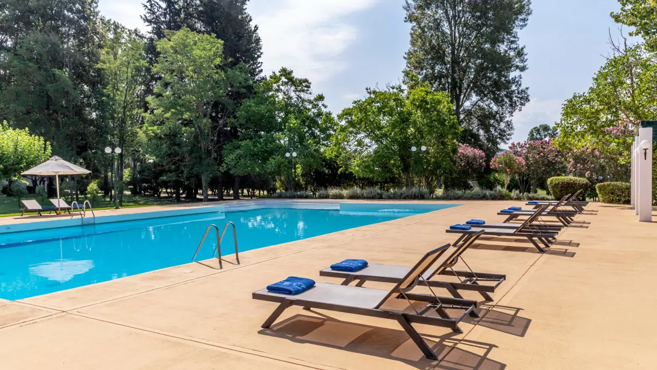 The outdoor pool at Amalia Hotel, Olympia with sun loungers, blue towels, and surrounding trees