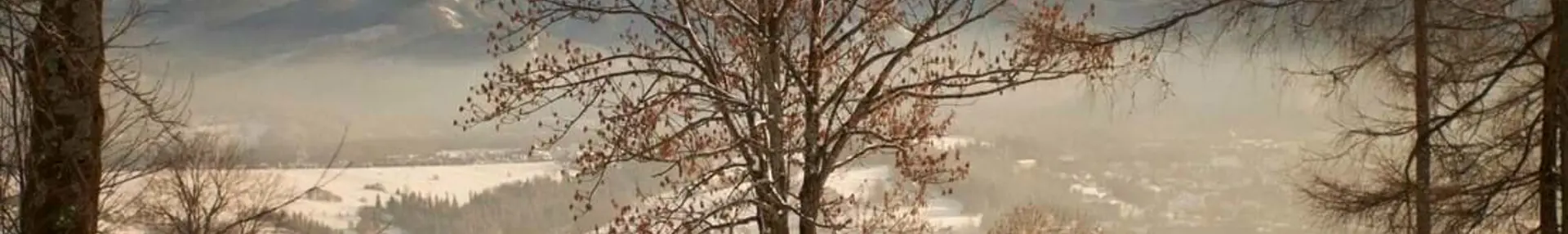 Staff stories where in the world we spent Christmas and New Years