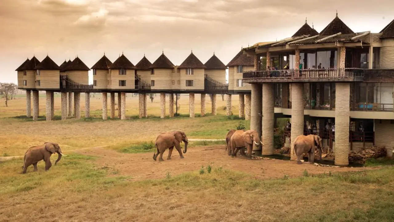 Sarova Salt Lick Game Lodge, Taita Hills 1