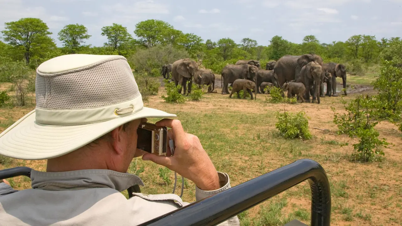 Man photographing an elephant herd, South Africa