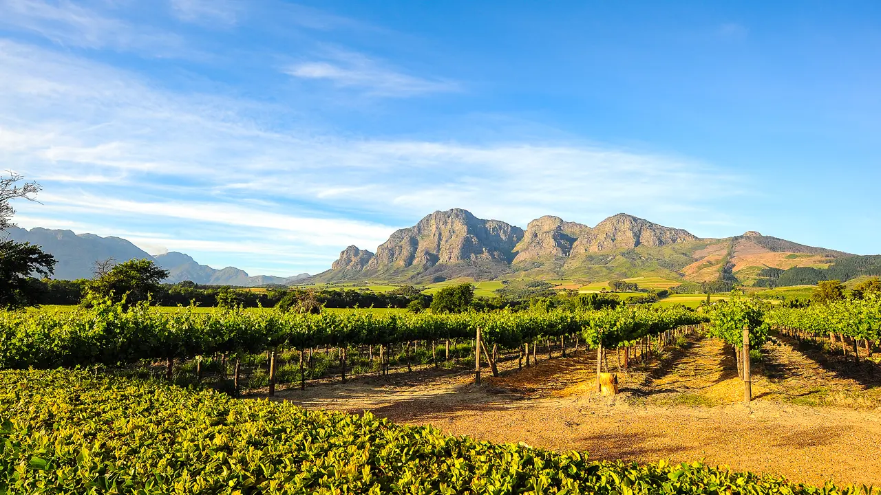 Cape Winelands, South Africa