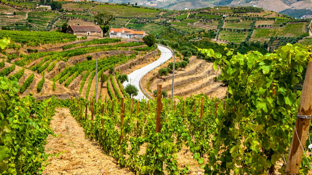 Duoro Valley, Portugal