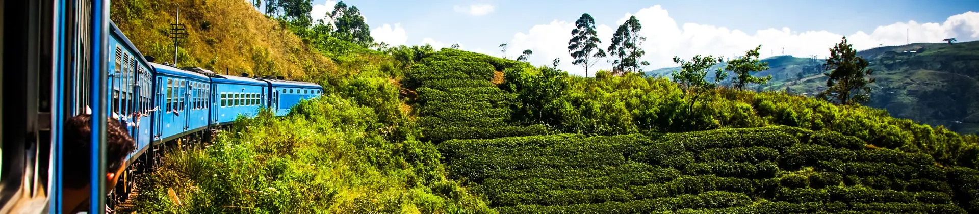 Train From Nuwara Eliya To Kandy Among Tea Plantations In The Highlands Of Sri Lanka