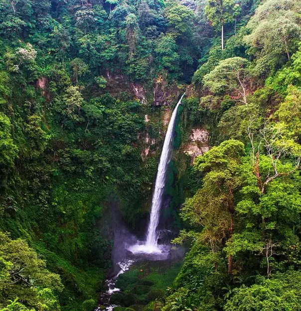 Tall waterfall cascading through lush green forest vegetation at Coban Pelangi Waterfall, Indonesia