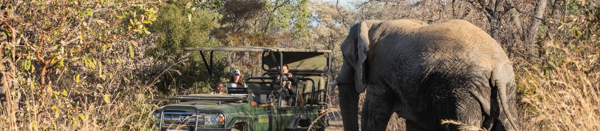 Mabula Game Lodge Wildlife 41