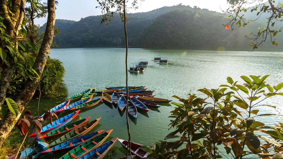 Colorful Canoe Boats At Sunrise On Phewa Lake In Pokhara Nepal