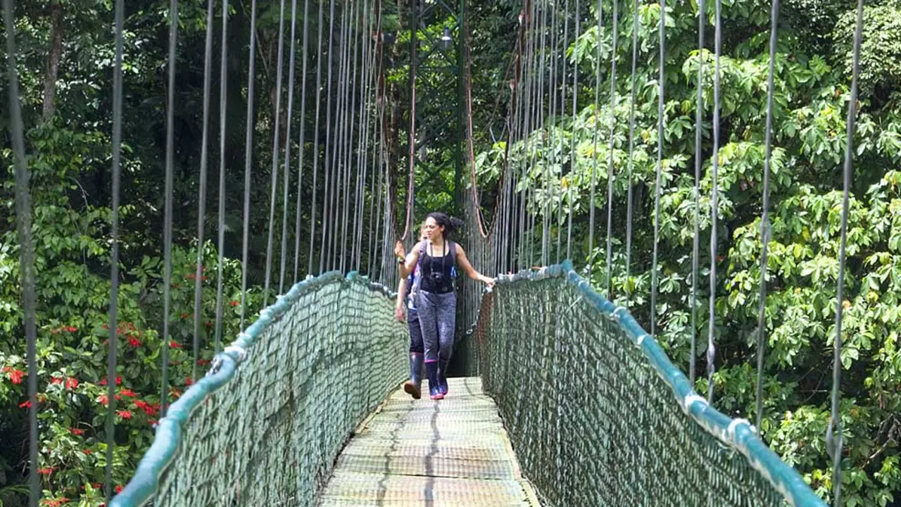 Selva Verde Ecolodge & Rainforest Reserve Rope Bridge