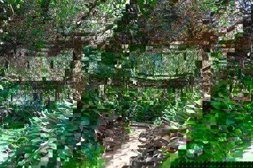 Unwind in the botanic gardens