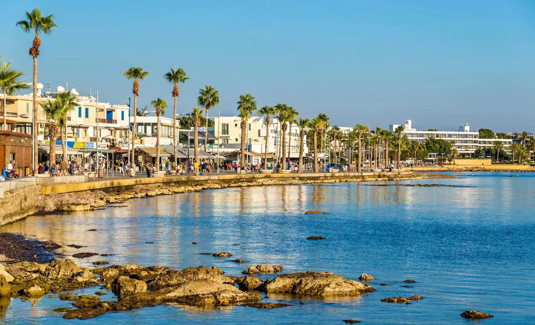 Coastal view of Paphos, Cyprus, featuring a calm blue sea and a row of palm trees lining the shore. Behind the trees, people stroll near bustling shops and open-air restaurants under a clear sky