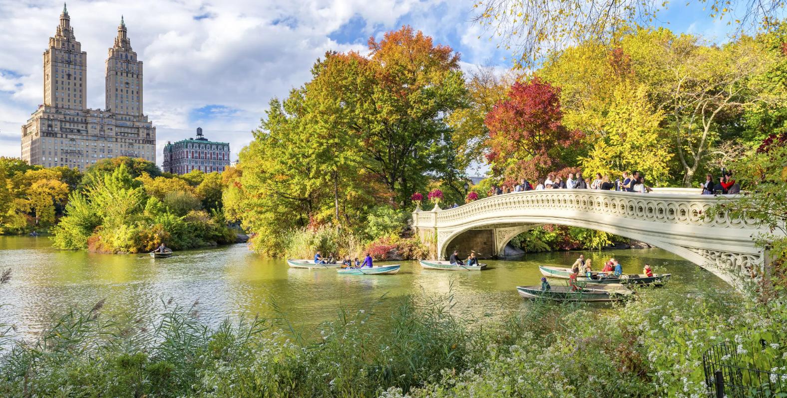 Central Park in New York City during autumn, with people rowing boats on a calm river surrounded by blooming trees, lush greenery, and the city skyline in the background