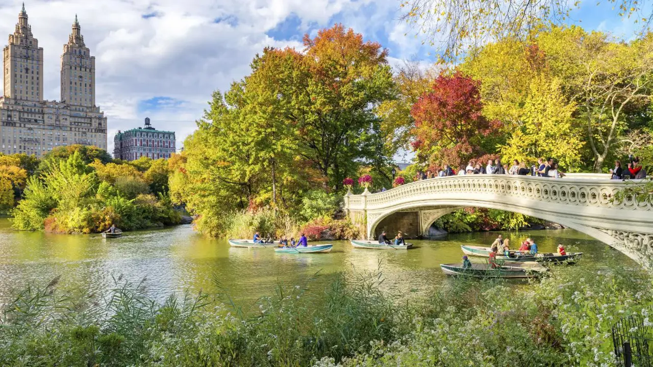 Central Park in New York City during autumn, with people rowing boats on a calm river surrounded by blooming trees, lush greenery, and the city skyline in the background