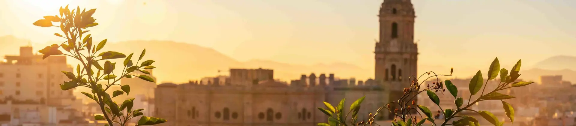 Catedral de Málaga in Spain, bathed in the warm glow of sunset, with tree branches in sharp focus in the foreground