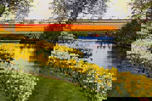 Canal ride amidst the colour