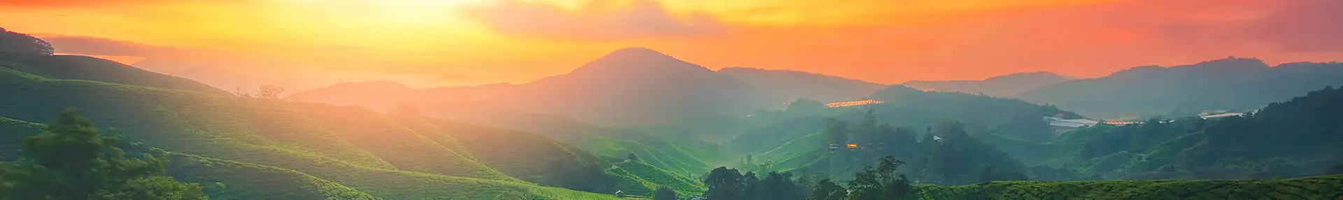 2000X1400 9 Ceo Sh 1403162003 1