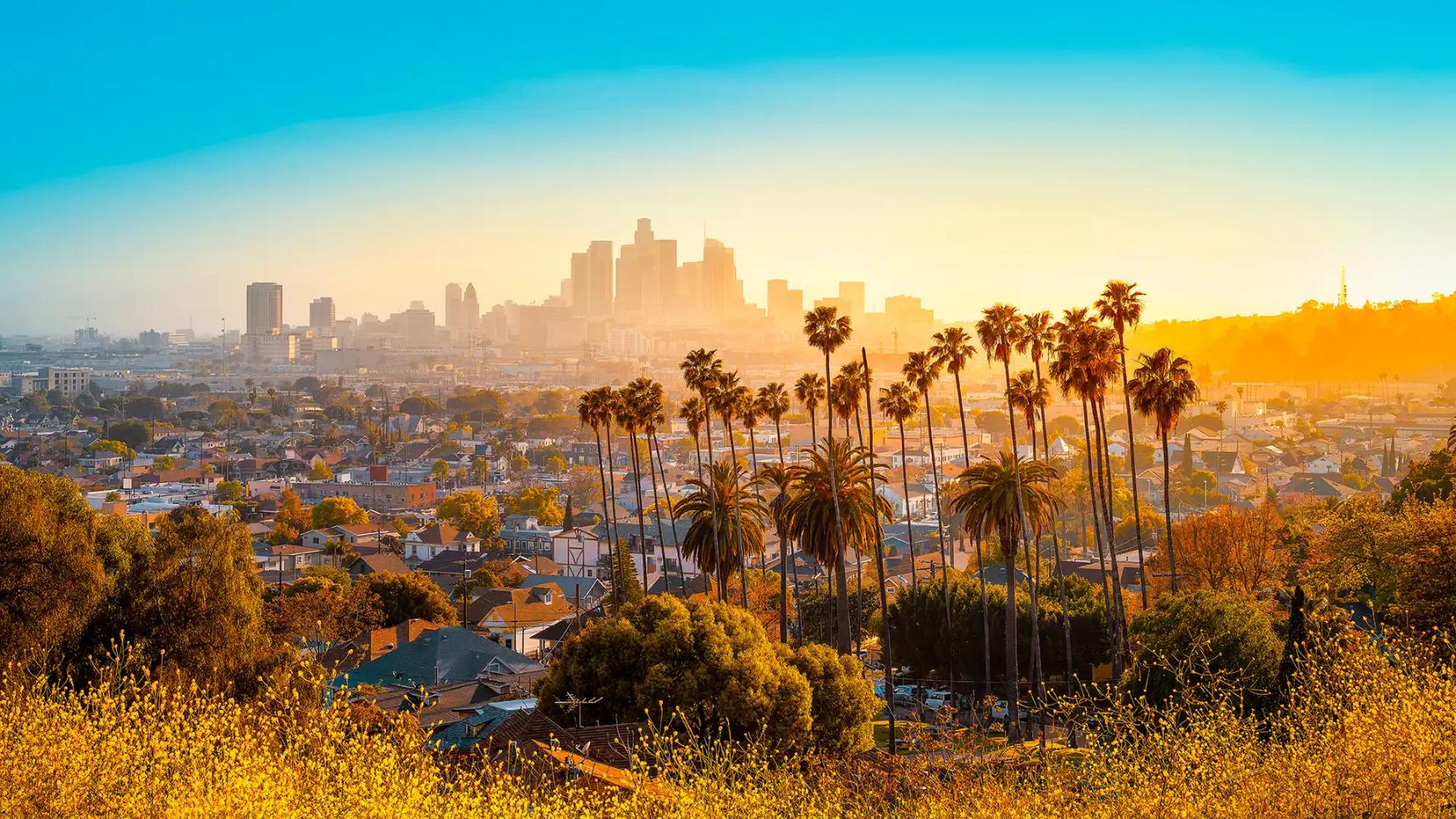 Palm trees on a hillside overlooking houses and streets in the valley below, with the city of Los Angeles glowing in warm sunset light