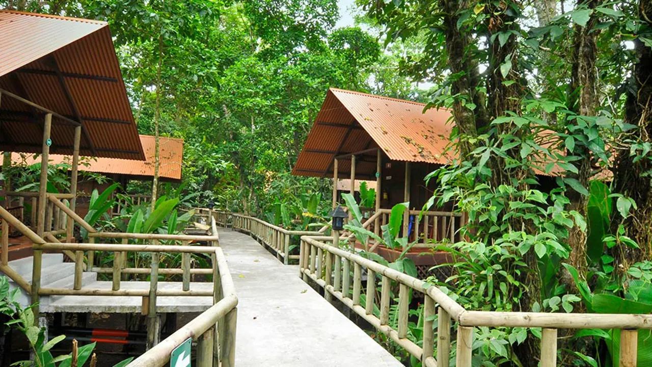 Pachira Lodge, Tortuguero Lodges