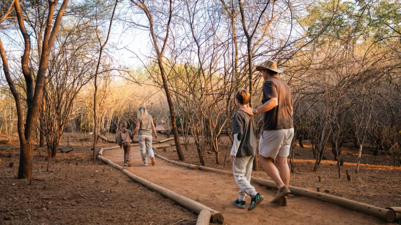 The Chobe Safari Lodge Bush Walk