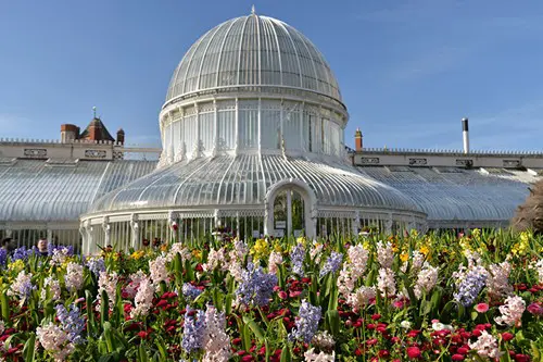 Nmh Belfast Botanic Garden (1)