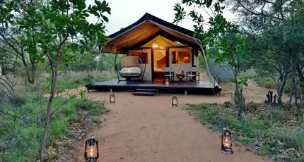 9. Signature Safari Plains Safari Suite
