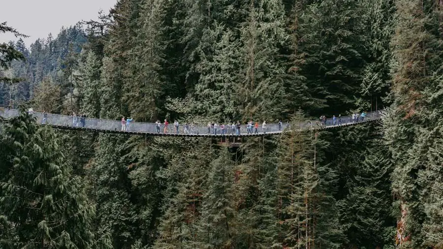 Capilano Suspension Bridge
