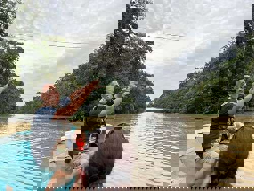 Day 4: it’s orangutan hour