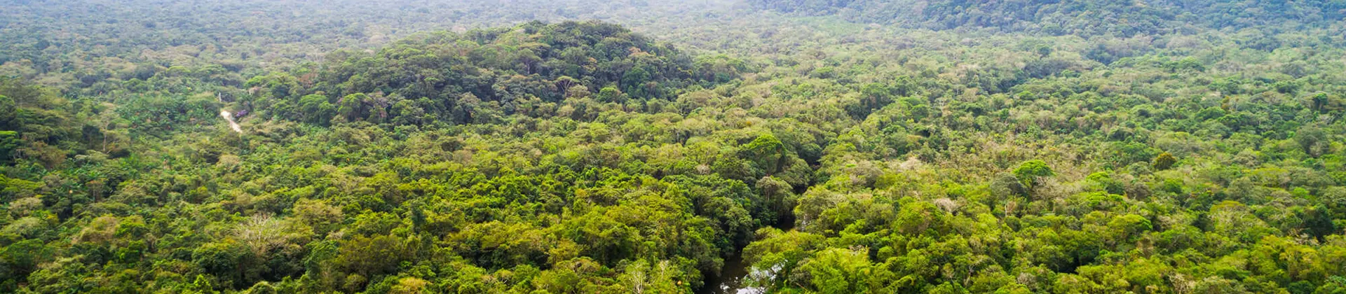 2000X1400 3 Carbon Sh 722601193 1