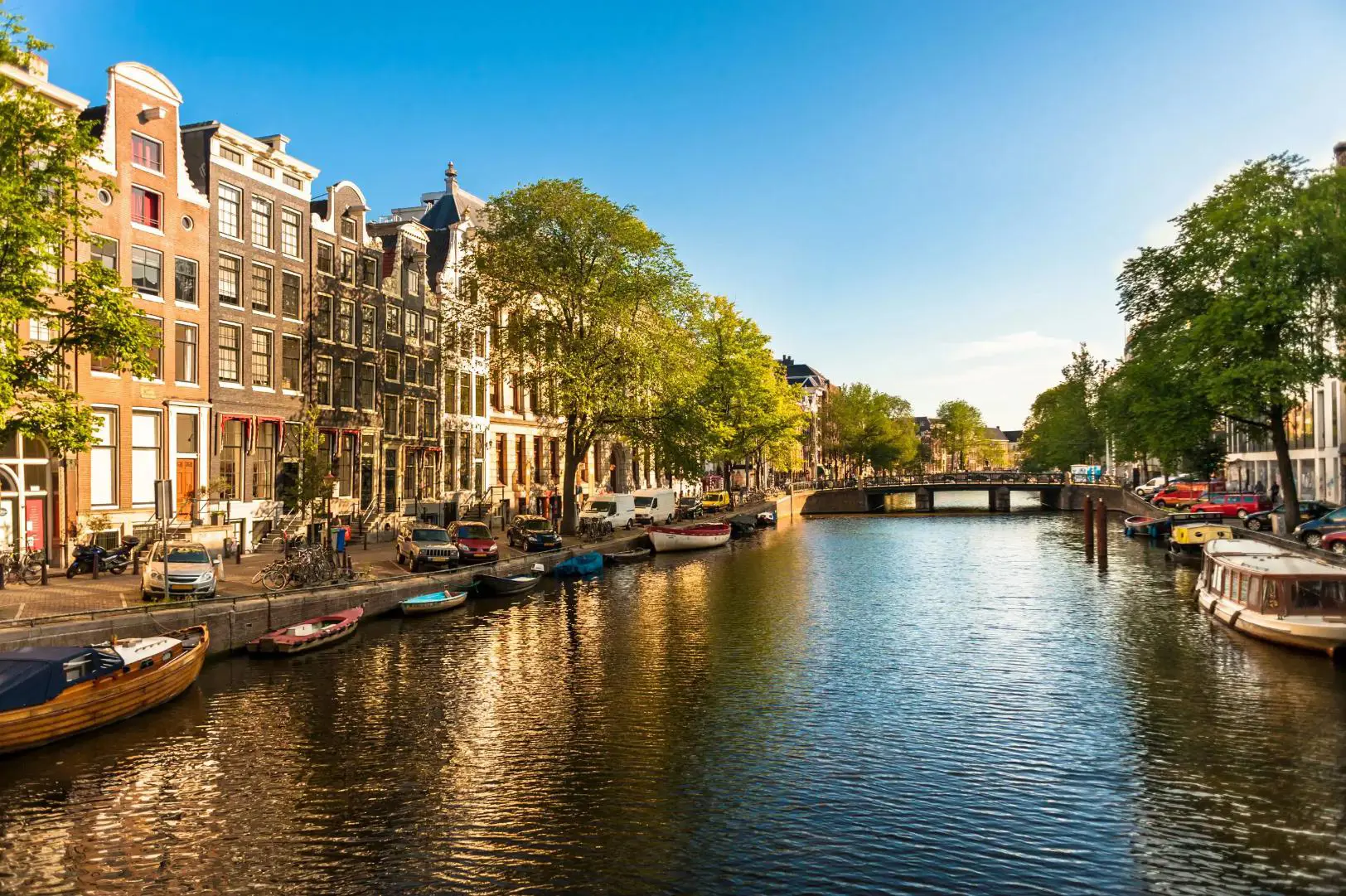 A sunny day in Amsterdam with boats moored along the edge of a canal, lined with traditional Dutch buildings and leafy trees