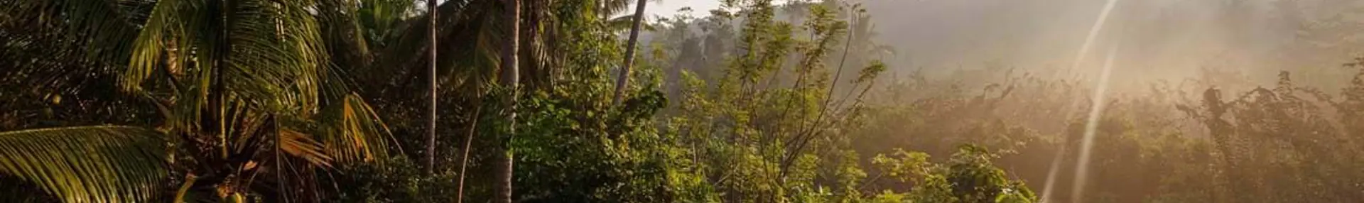 5 unique reasons to visit the island of Borneo