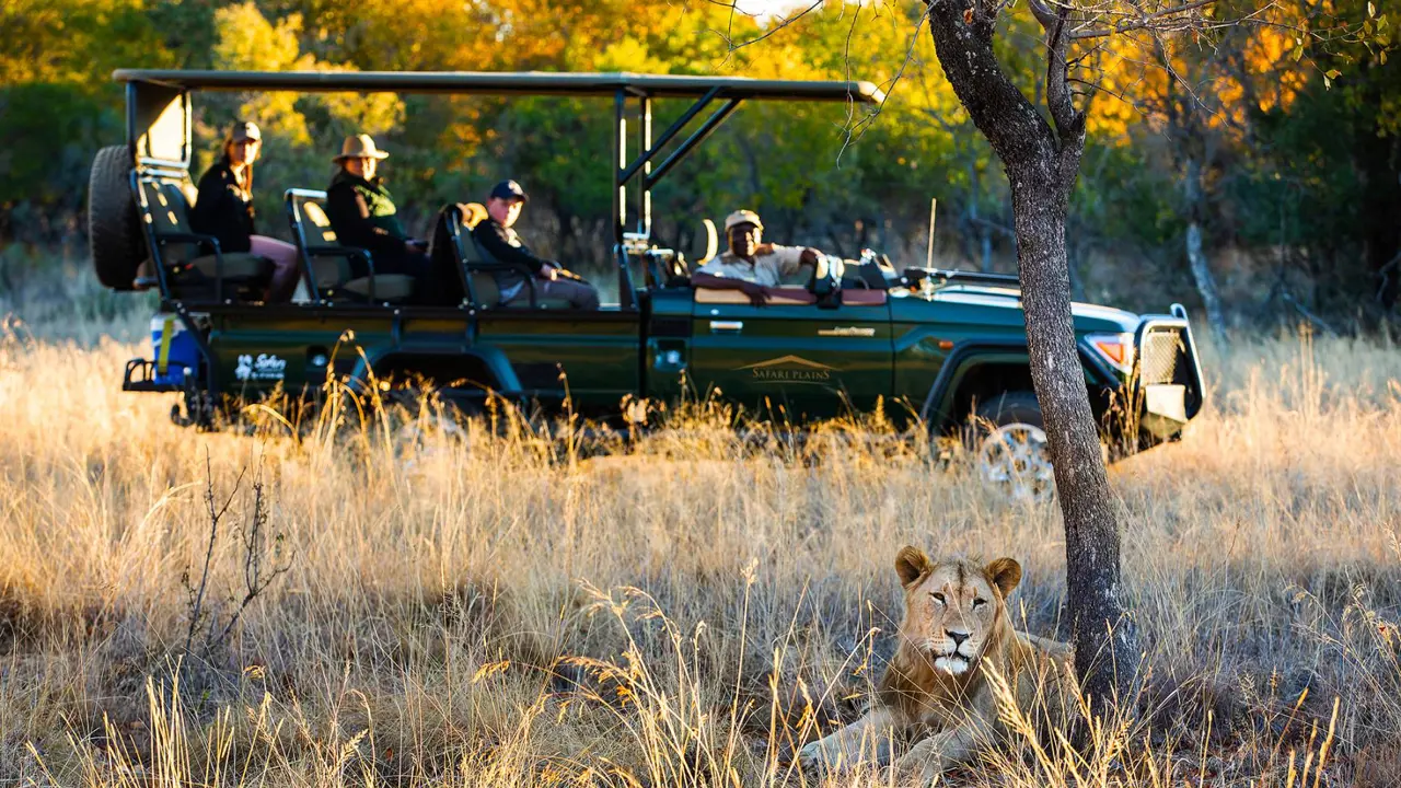 Spotting lions on a game drive, Safari Plains
