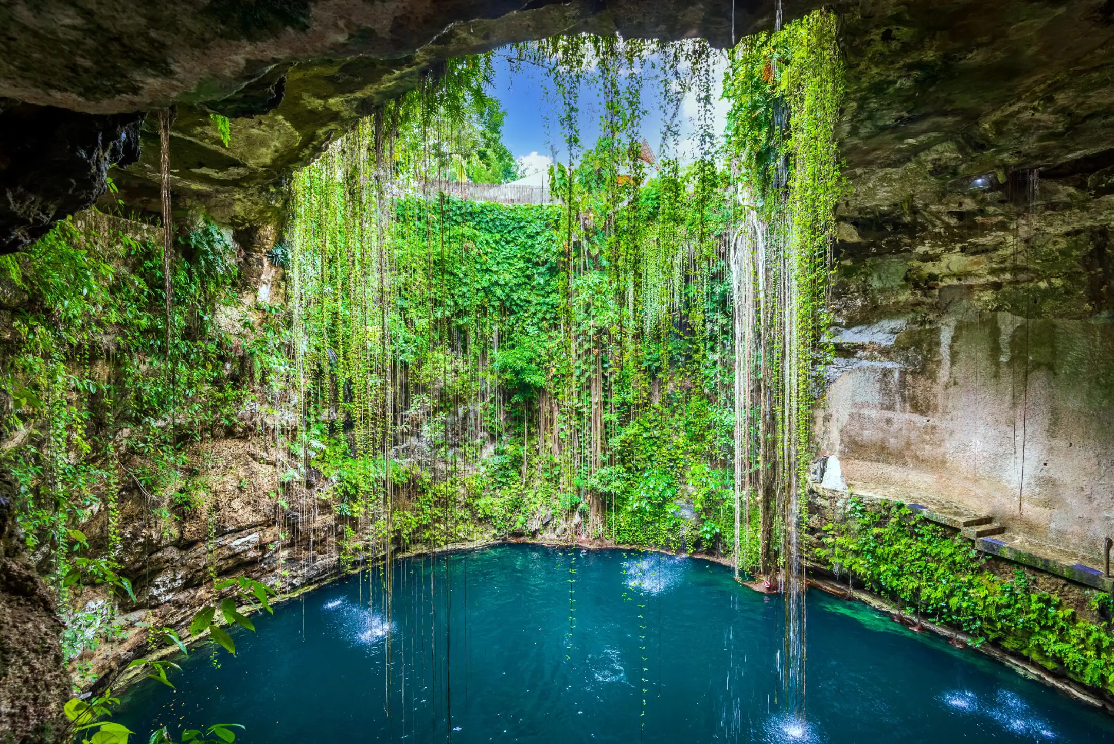 San Ignacio Park Cenote