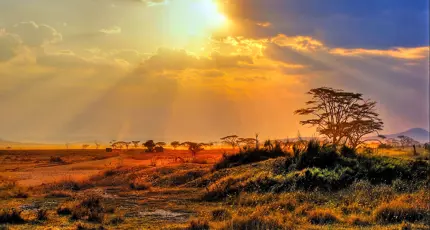 Kruger National Park