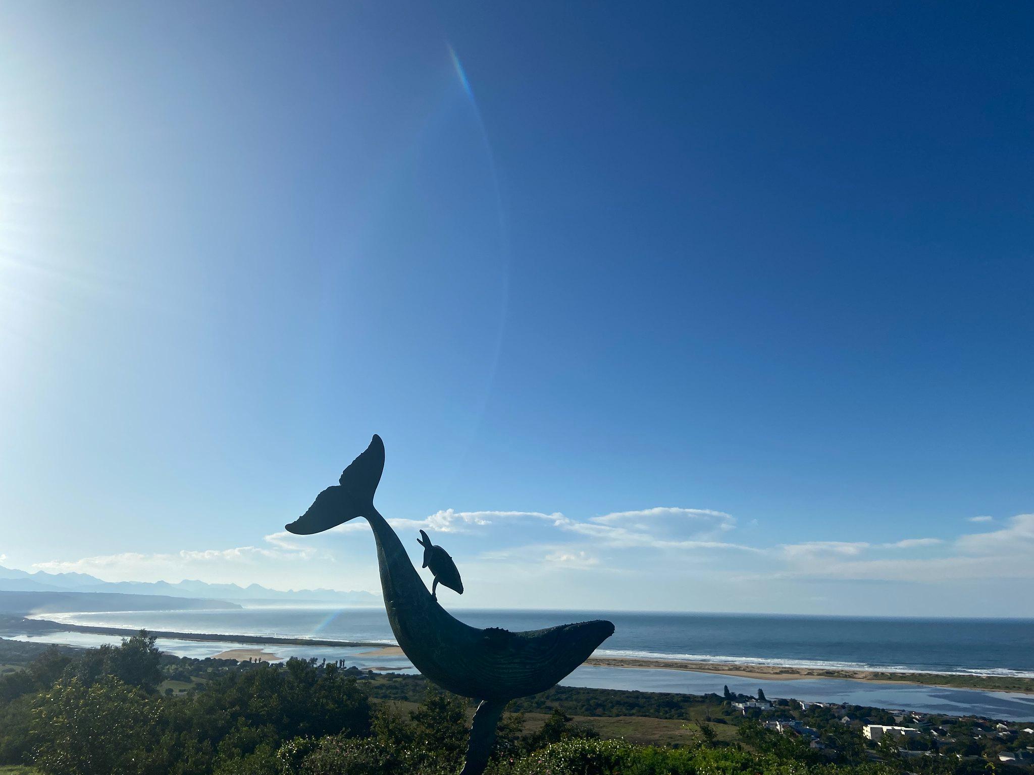 Whale sculpture, Garden Route