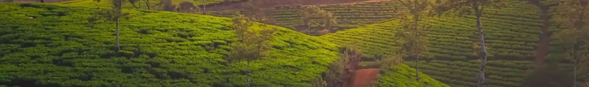 5 ways to explore Sri Lanka’s great outdoors