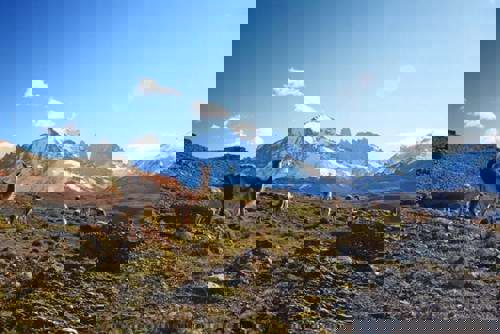 Torres del Paine National Park, Chile