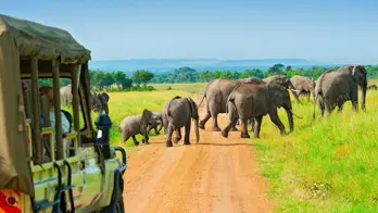 A group of elephants crossing a dirt road in the Maasai Mara, Kenya, with tourists observing from a safari vehicle in the foreground