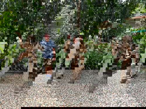 Day 4: it’s orangutan hour