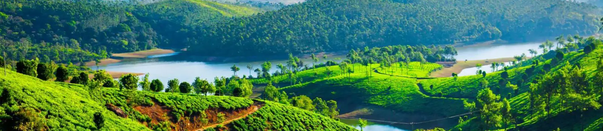 Tea plantations cover rolling green hills near a winding river, with forested slopes and mountains in the background near Munnar, Kerala, India