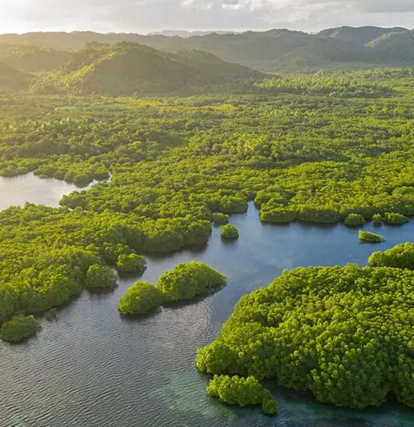 Shutterstock 2053671845 Amazon