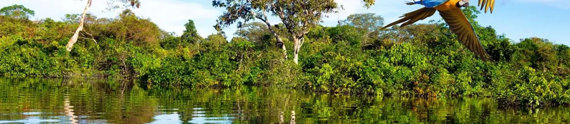 Shutterstock 615054509 Amazon River 1