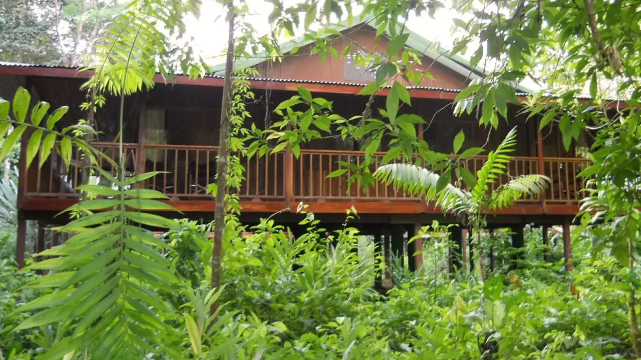 Selva Verde Ecolodge & Rainforest Reserve Rope Balcony