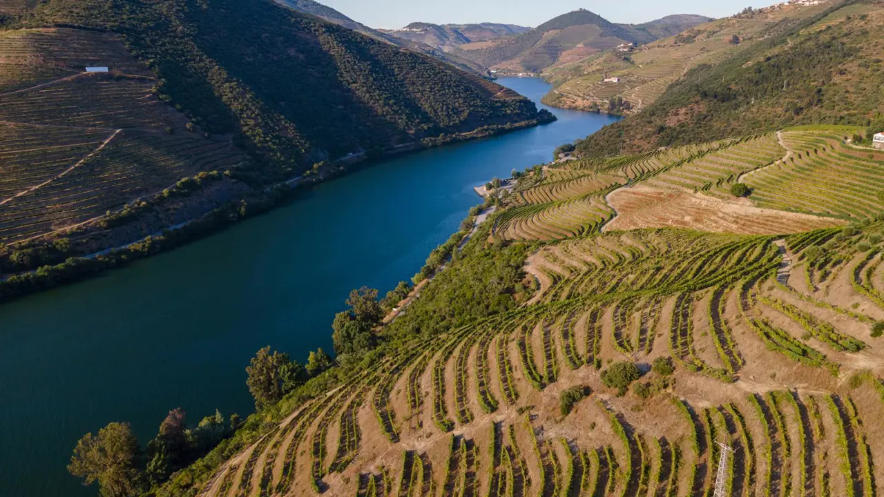 Douro Valley, Peso Da Régua