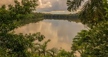 Lake Sandoval surrounded by dense Amazon rainforest in Peru