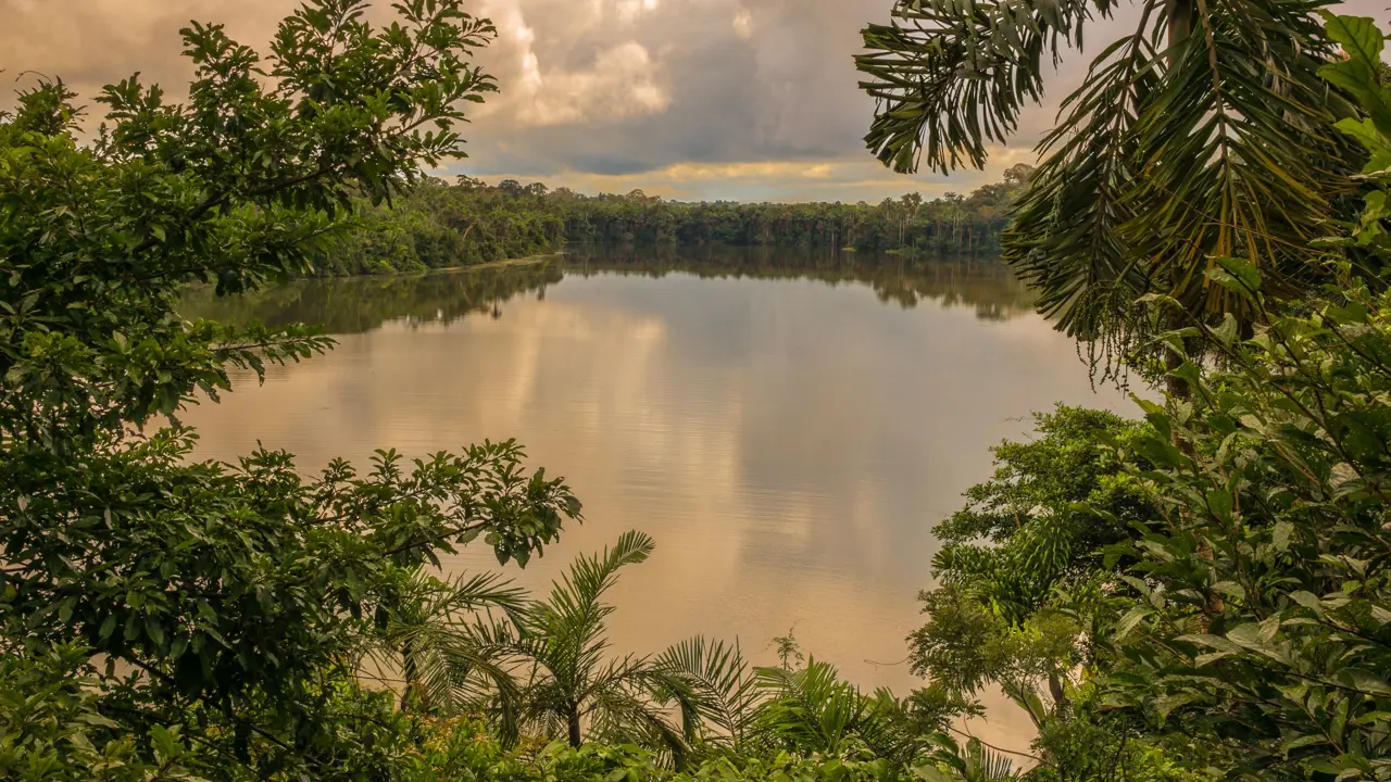Lake Sandoval surrounded by dense Amazon rainforest in Peru