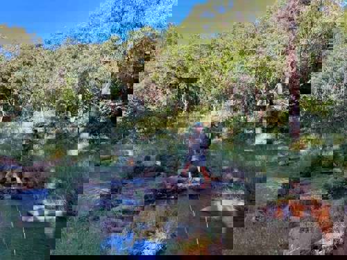 Staff Trip To A South African Safari Holiday with Newmarket Holiday