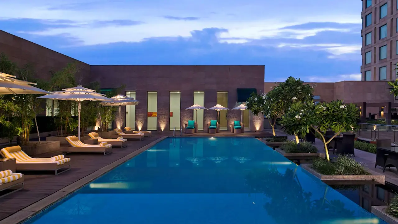 16256 116509 F64877587 3Xl