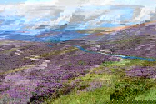 Cairngorms National Park, Scotland