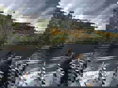 A bird watcher's delight