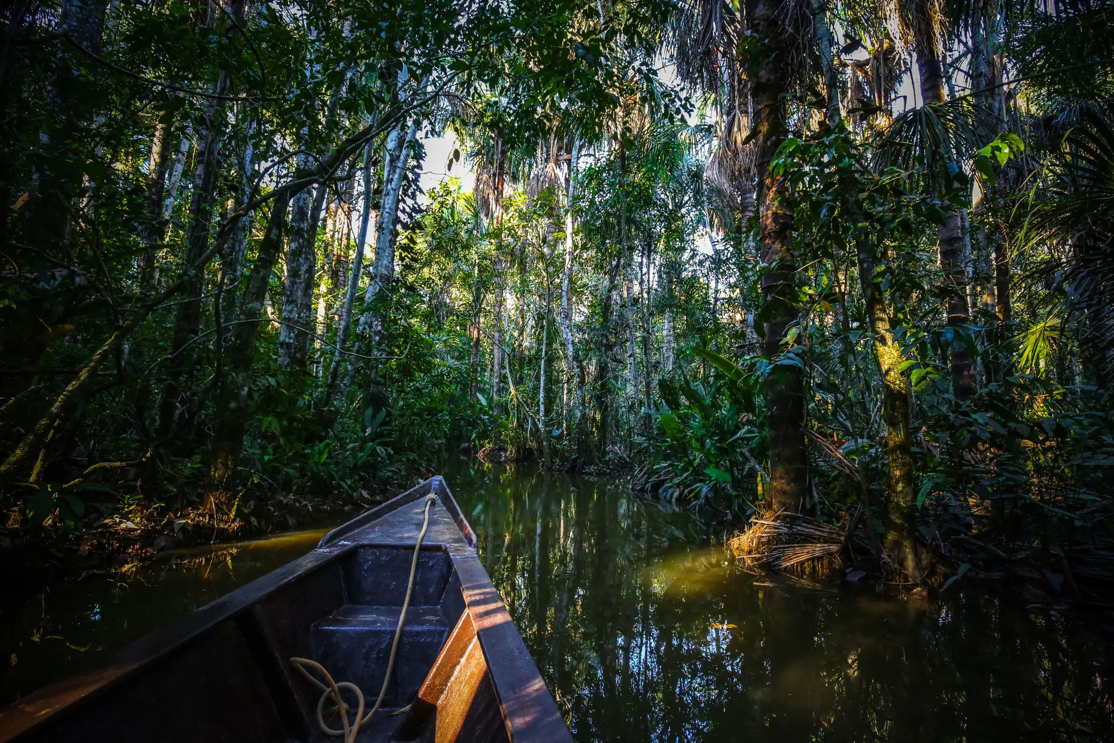 Boat on Lake Sandoval, Peru