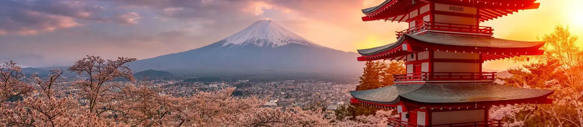 Chureito Pagoda surrounded by cherry blossoms at sunset with Mount Fuji in the background
