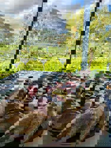 Wineries and sunshine in South Africa